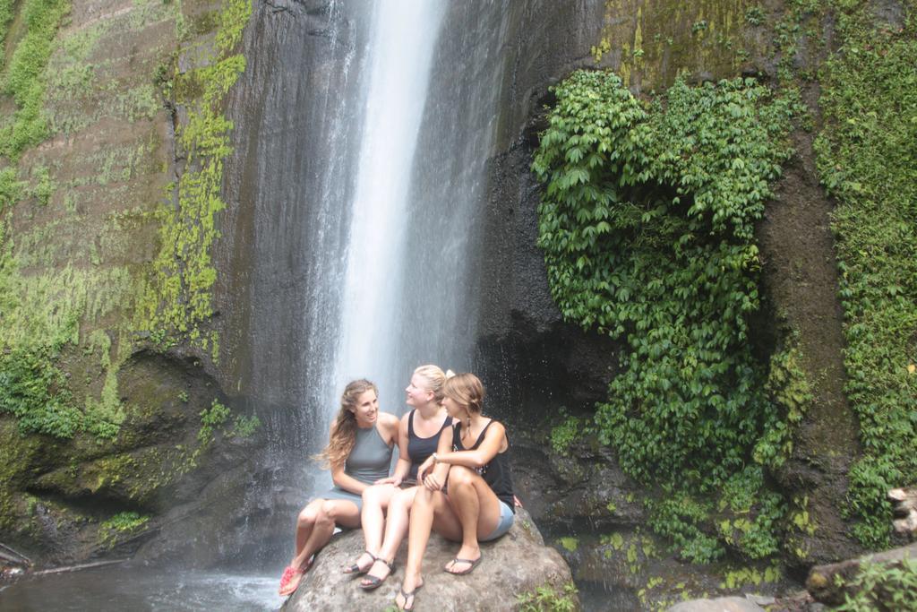 Ijen Bondowoso Home Stay Eksteriør bilde